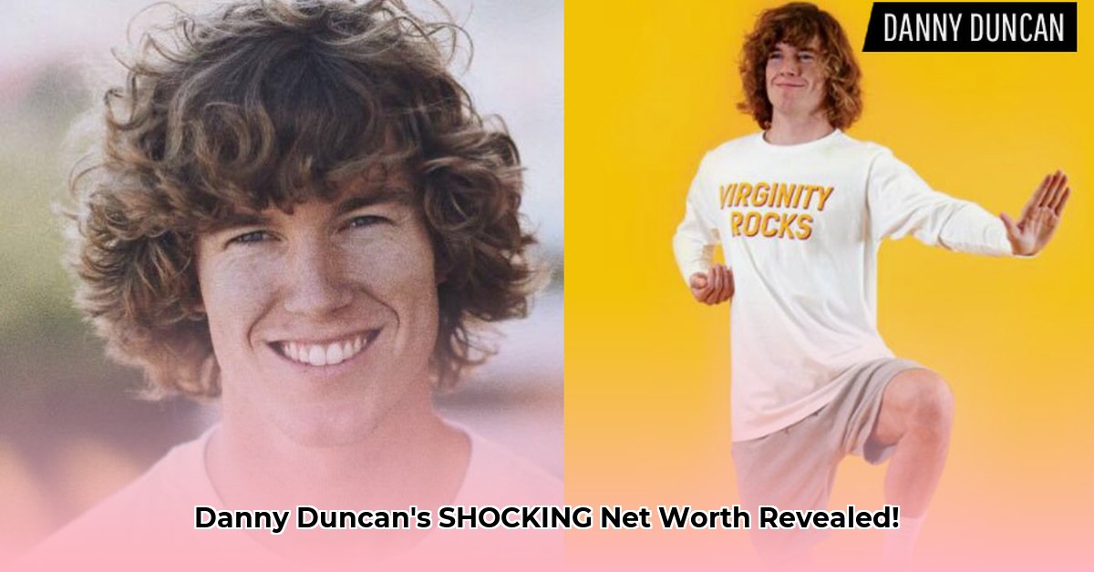 virginity-rocks-net-worth